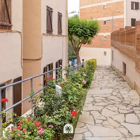 Mediterranean Way - Oromar * 살루